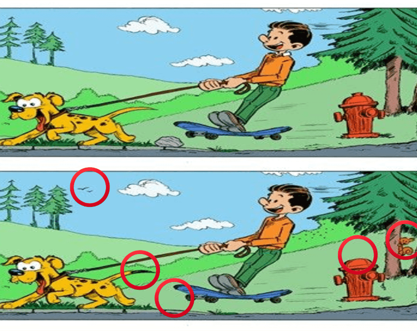 जवाब
