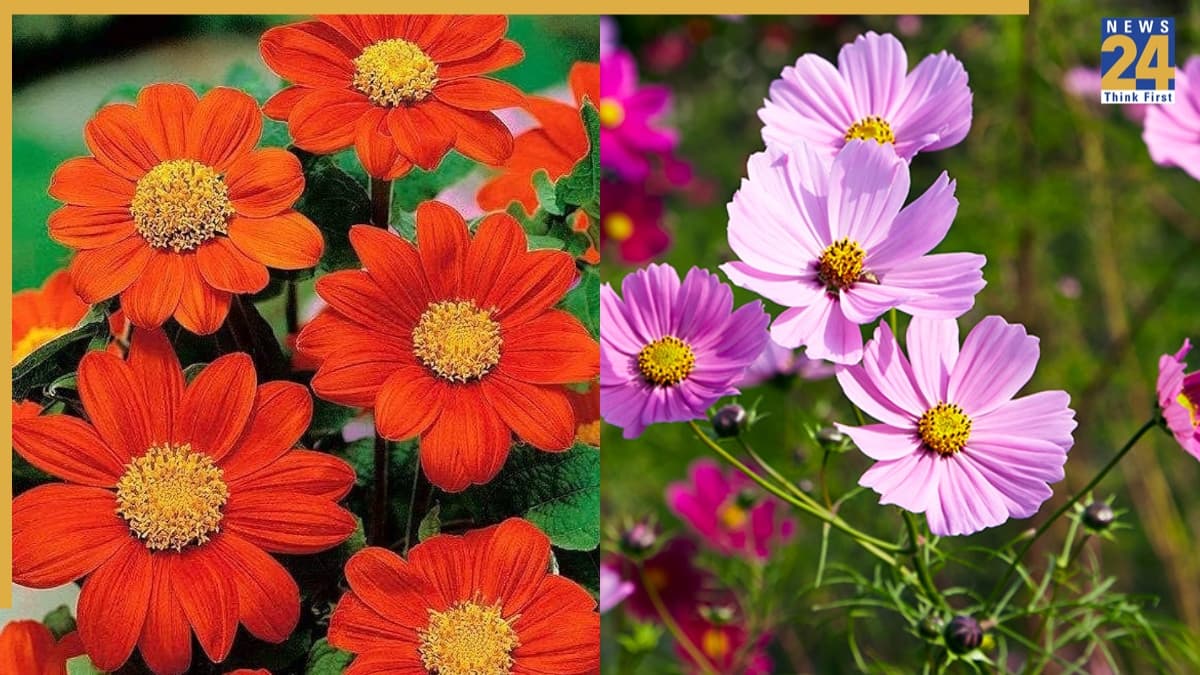 spring season plants