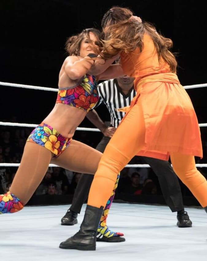 WWE में कैसा रहा सफर?