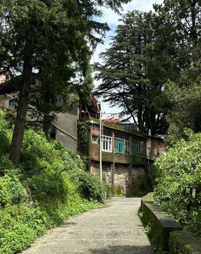 लैंडोर 