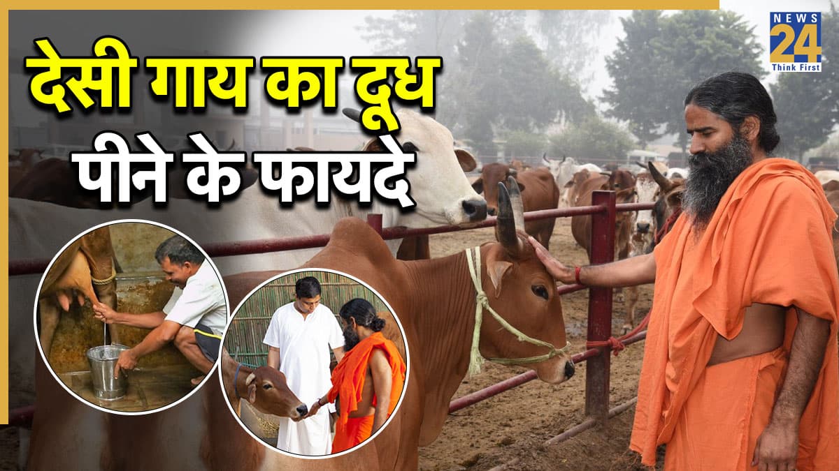 देसी गाय के दूध और घी से कौन सी बीमारियां दूर होती हैं? बाबा रामदेव ने बताए पतंजलि गौशाला की गायों के फायदे