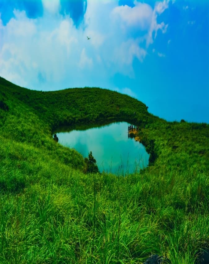 चेम्ब्रा पीक ट्रेक, वायनाड