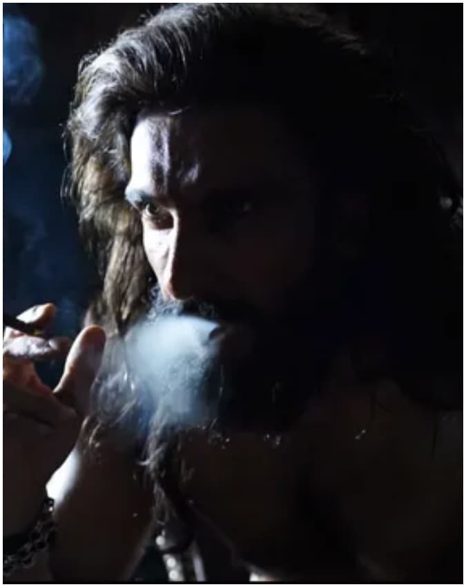 'पुष्पा 2'