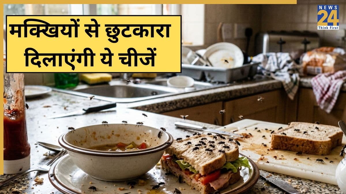 मक्खियों ने कर दिया है नाक में दम तो यहां जानिए किस तरह इन Flies से मिल सकता है छुटकारा, घर की ही चीजें काम आएंगी