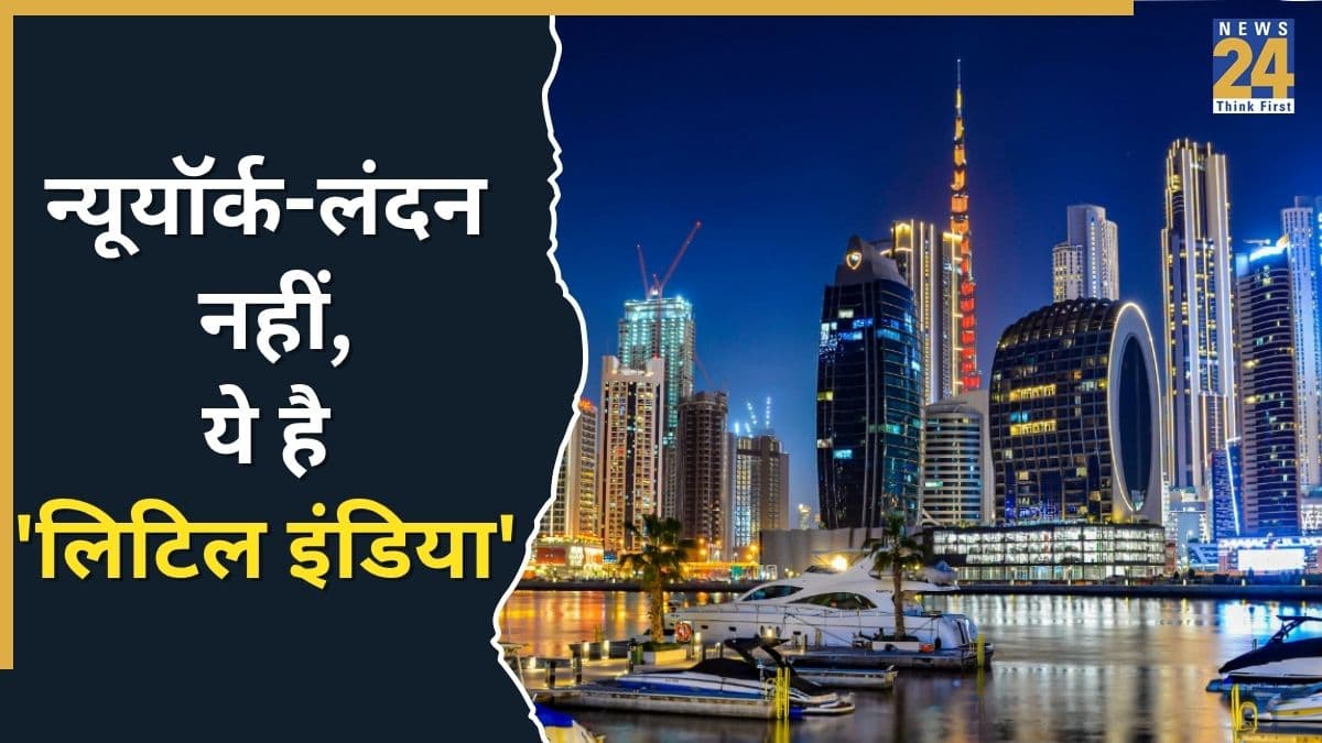 IMAGE.jpg (2) Indians in Dubai, Little India City, MEA Data Overseas Indians, Indian Community in UAE, NRI Remittance Dubai