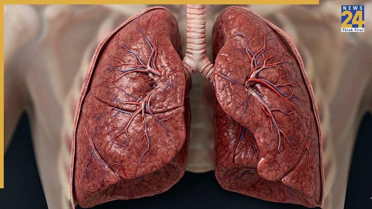 Lung detox after smoking