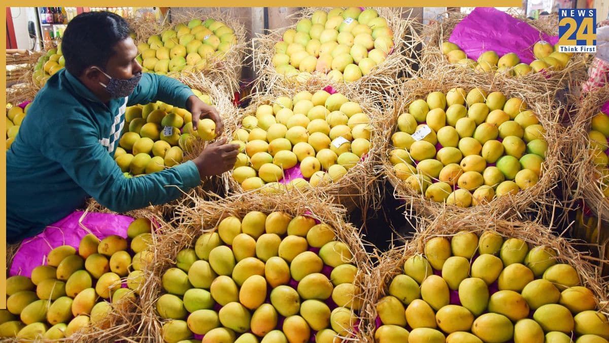 Mangoes Front