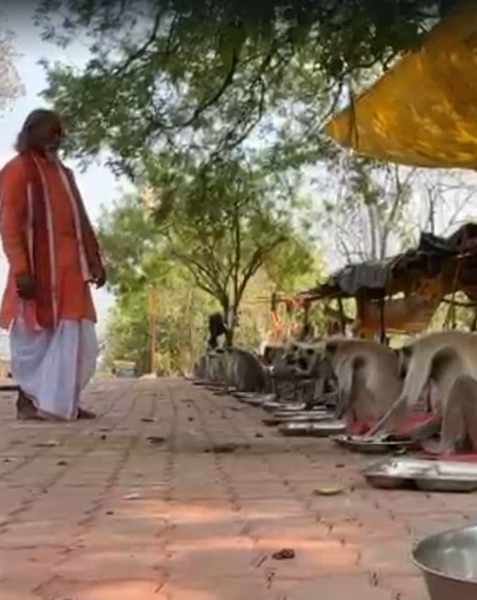 20 साल पुरानी परंपरा