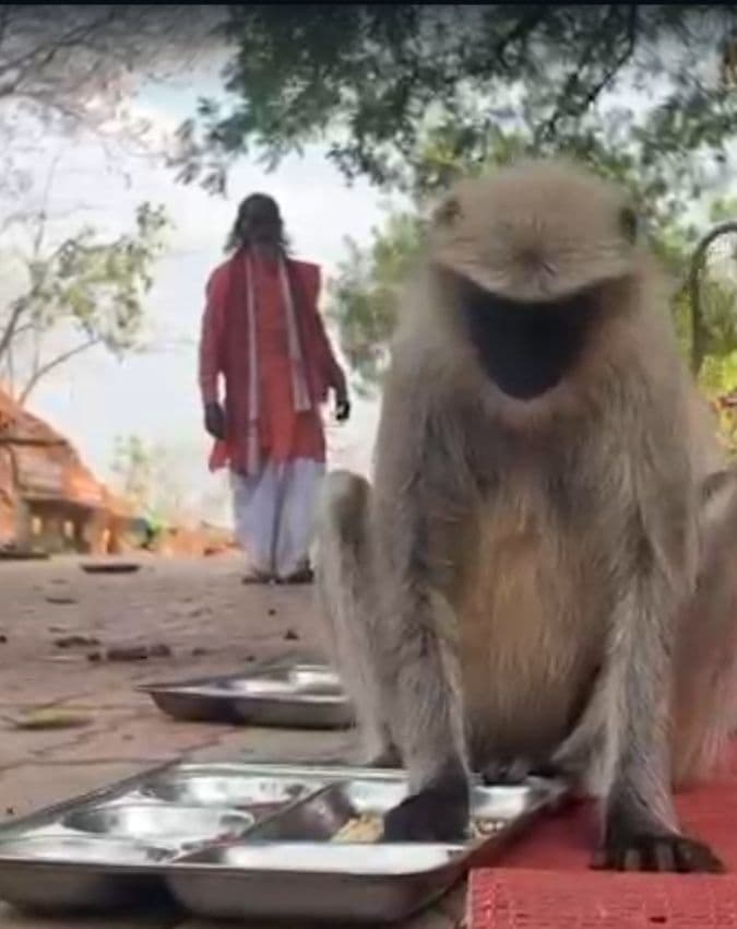 सजती हैं थालियां