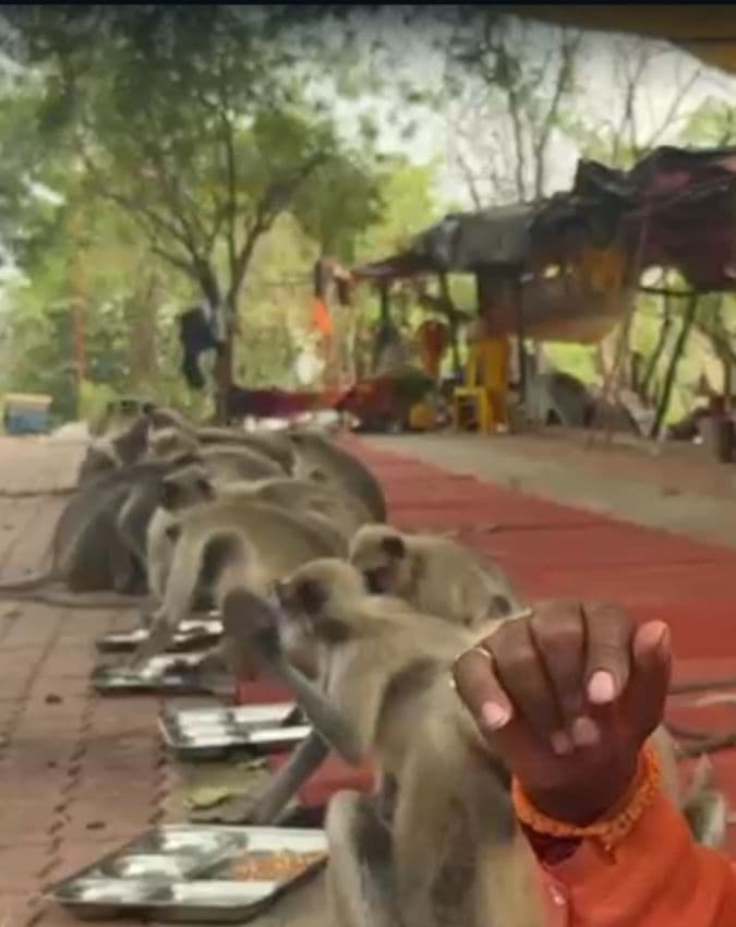थाली में मिठाइयां