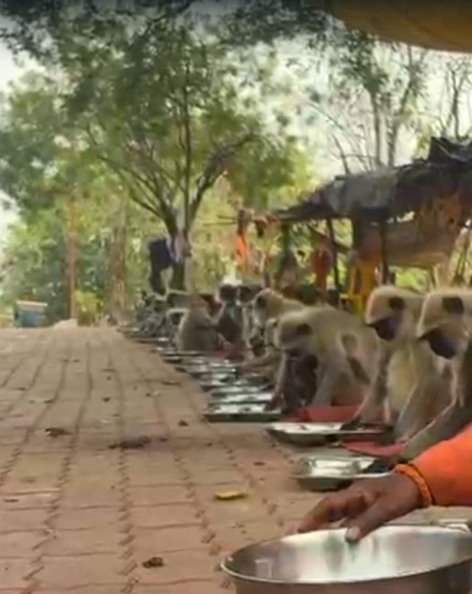 देखकर हर कोई हैरान