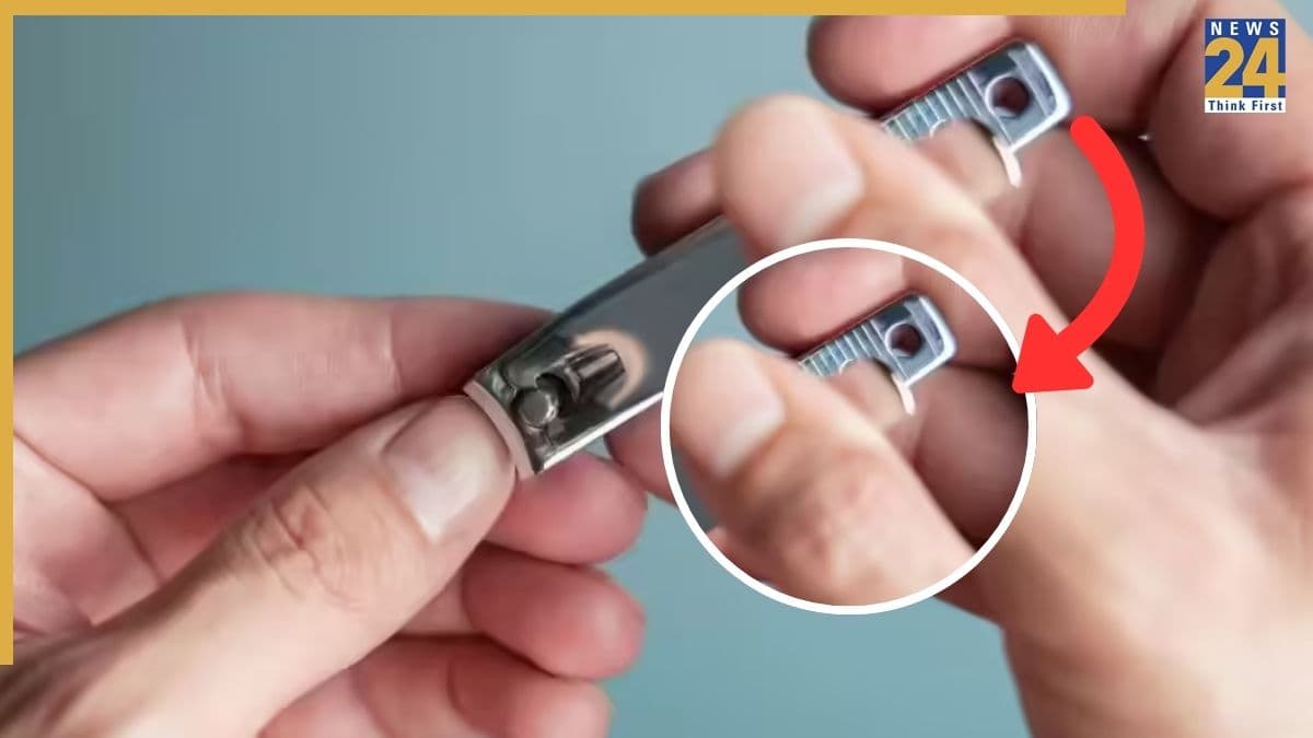 Nailcutter