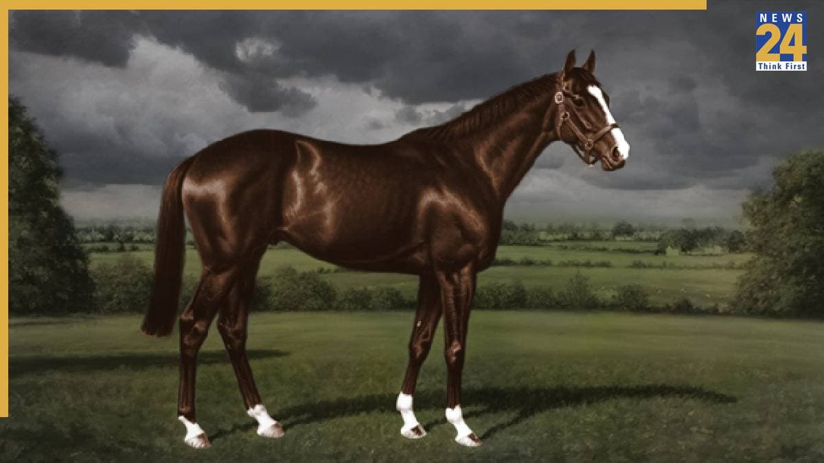 Shergar Horse