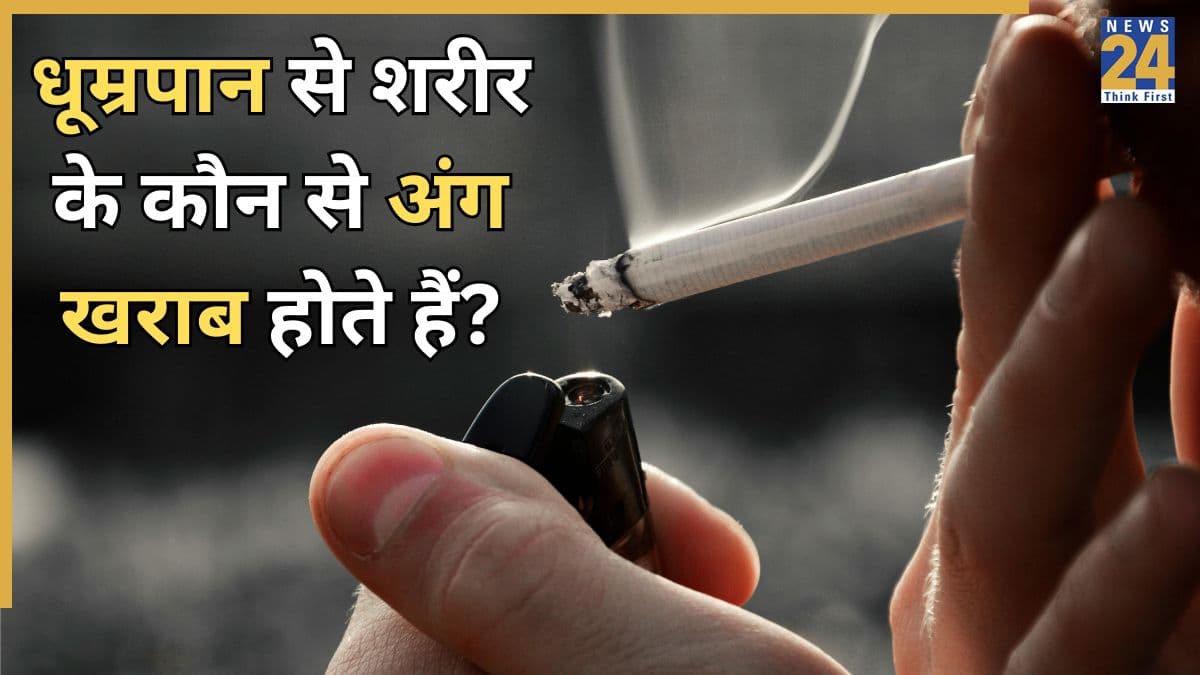 Smoking Effects on Body