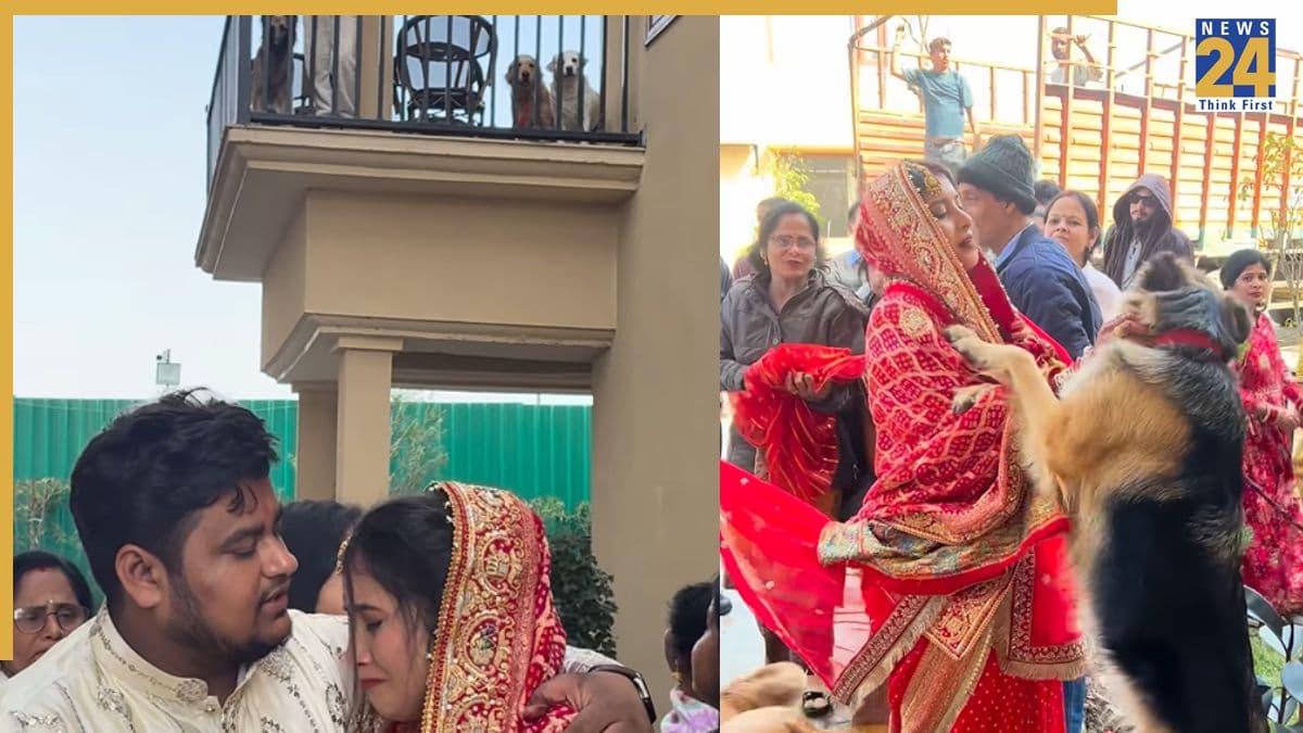 जब इंसानों से ज्यादा भावुक निकले जानवर दुल्हन की विदाई पर छलक पड़े आंसू, VIDEO वायरल