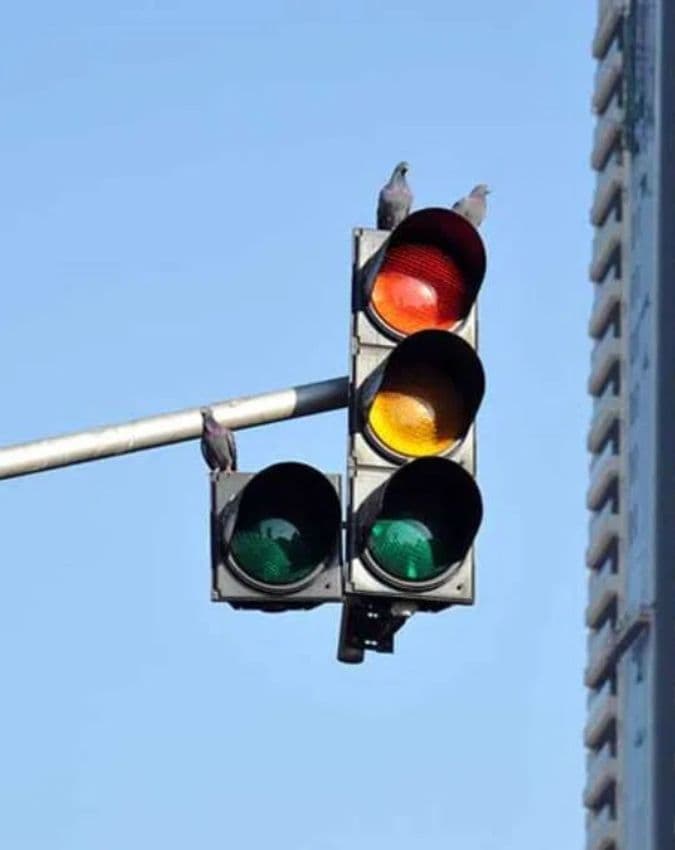 ट्रैफिक कैसे चलता है बिना सिग्नल?