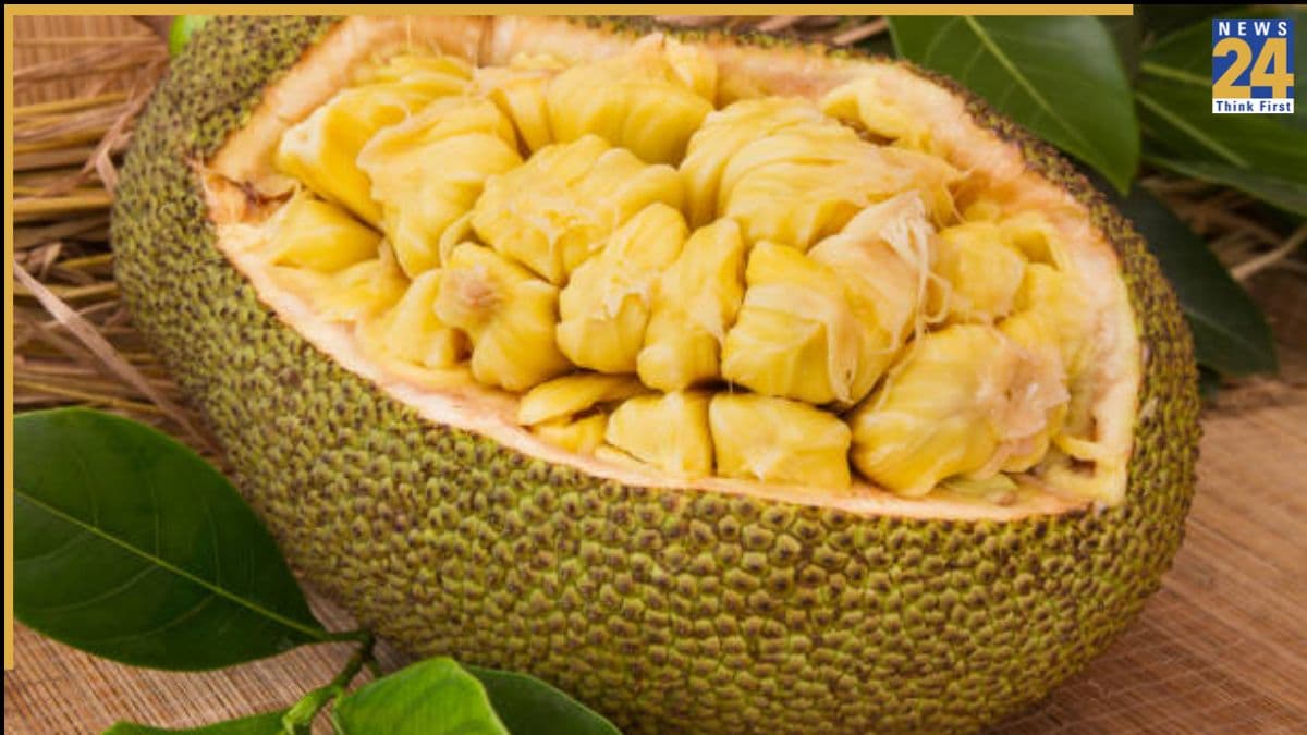 Jackfruit Eating Benefits