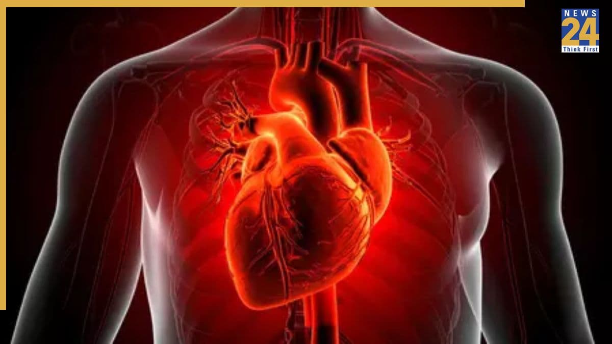 What Causes Low Heart Rate