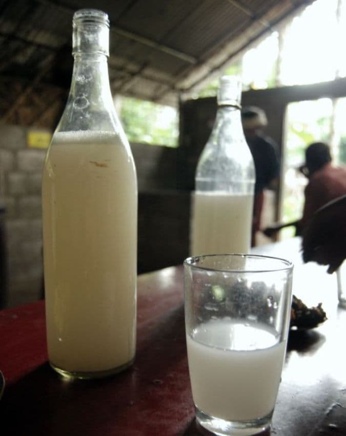 ताड़ी