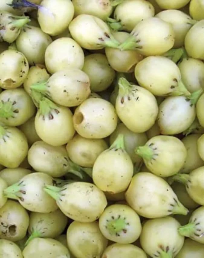 महुआ की शराब