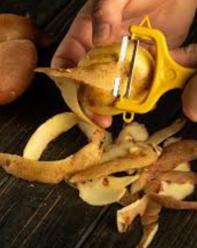 फल-सब्जियों के छिलके