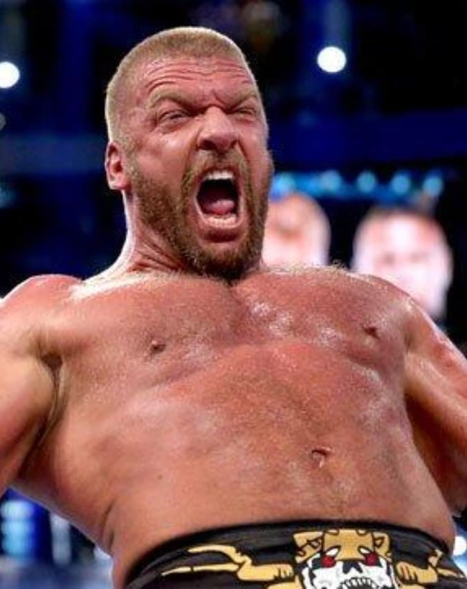 WWE WrestleMania 29