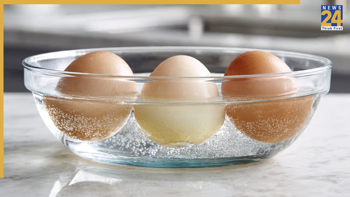 egg floating test