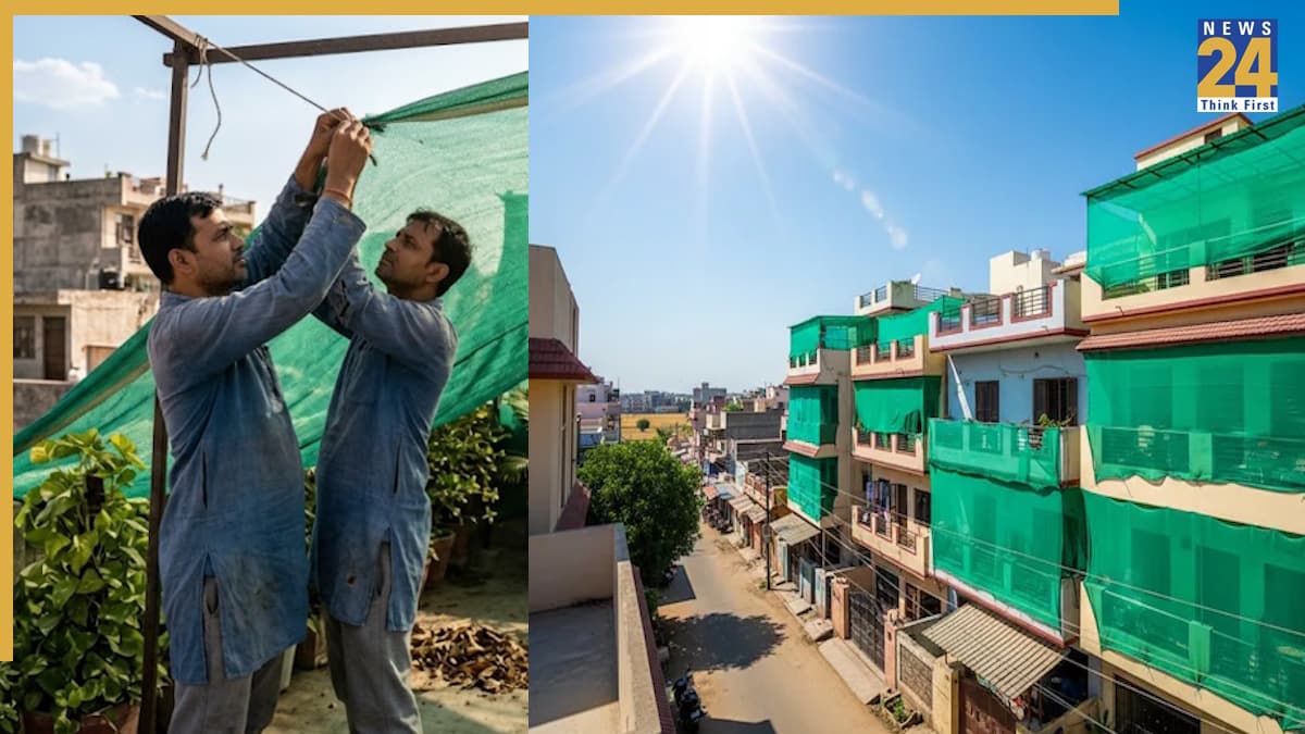 Summer Cooling Tips, Green Net Benefits, Heat Protection, Home Gardening, Agro Net Science