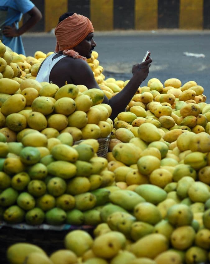 बेमौसम बारिश की मार