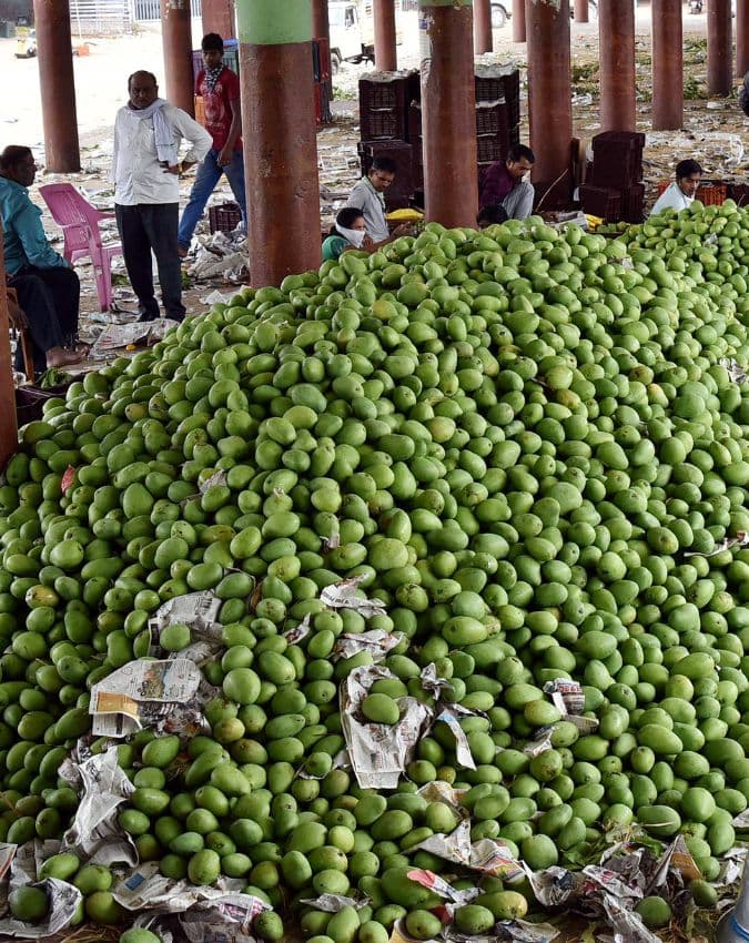 भीषण गर्मी का कहर