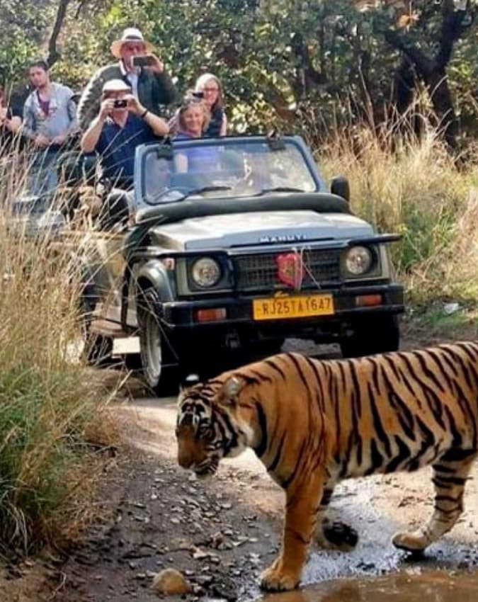 रणथंभौर राष्ट्रीय उद्यान (राजस्थान)