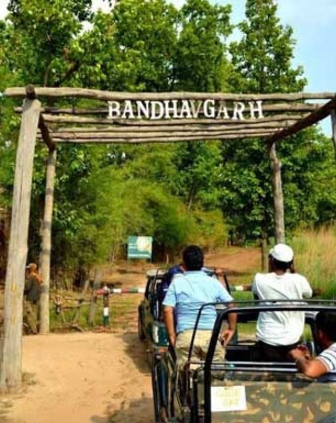 बांधवगढ़ राष्ट्रीय उद्यान (मध्य प्रदेश) 
