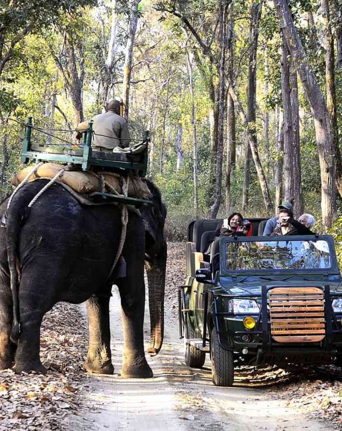 कान्हा राष्ट्रीय उद्यान (मध्य प्रदेश) 
