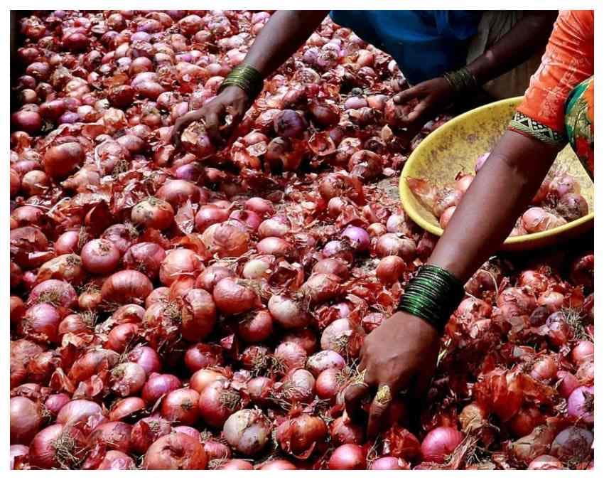 क्यों अचानक लाल हुई प्याज? 