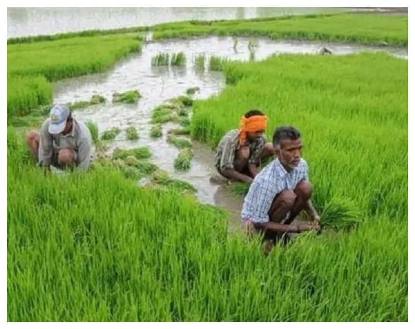 लैंड सीडिंग (Land Seeding) है जरूरी, वरना अटक जाएगा पैसा
