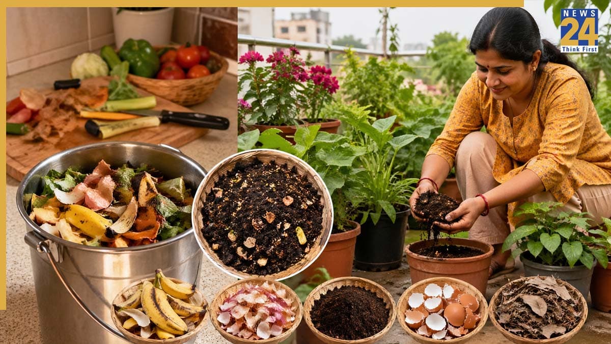 kitchen waste to fertilizer