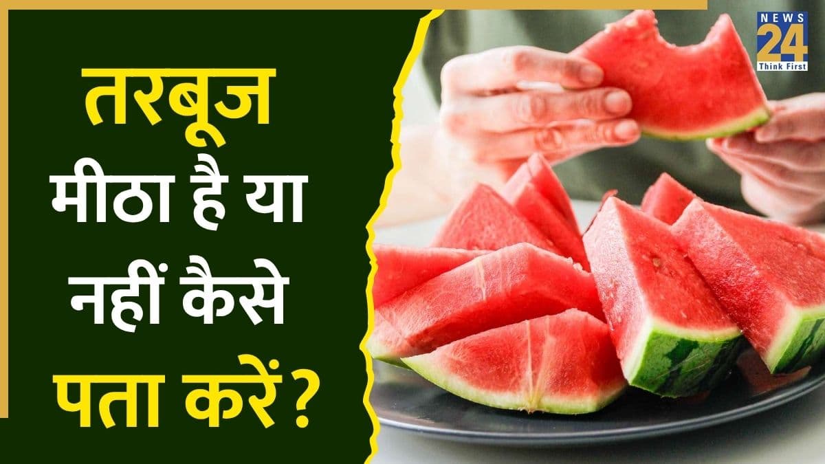 मीठा तरबूज पहचानना अब हुआ आसान! खरीदते वक्त ये ट्रिक्स जरूर आजमाएं