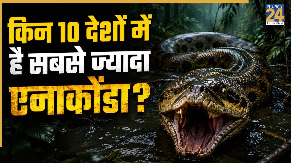 Highest Anaconda Population Countries: दुनिया के इन 10 देशों में है सबसे ज्यादा एनाकोंडा, लिस्ट में दूसरे नंबर पर है चौंकाने वाला देश!