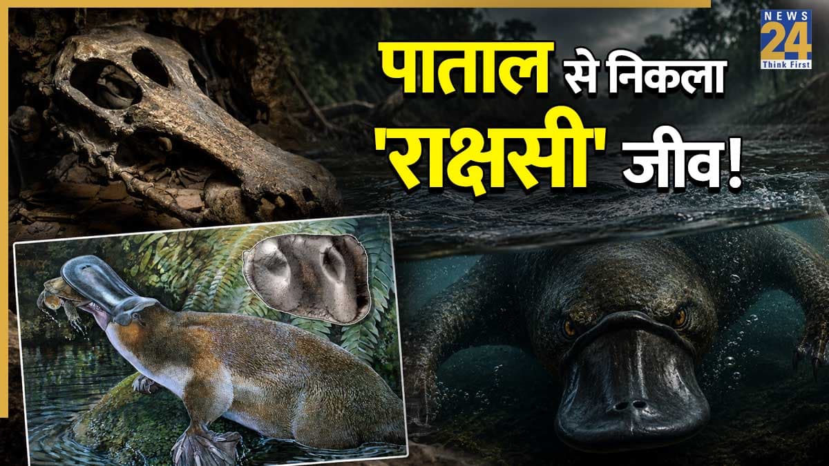 पाताल से निकला 2.5 करोड़ साल पुराना 'राक्षसी' जीव! दांतों से चबा डालता था हड्डियां, वैज्ञानिकों की उड़ी नींद