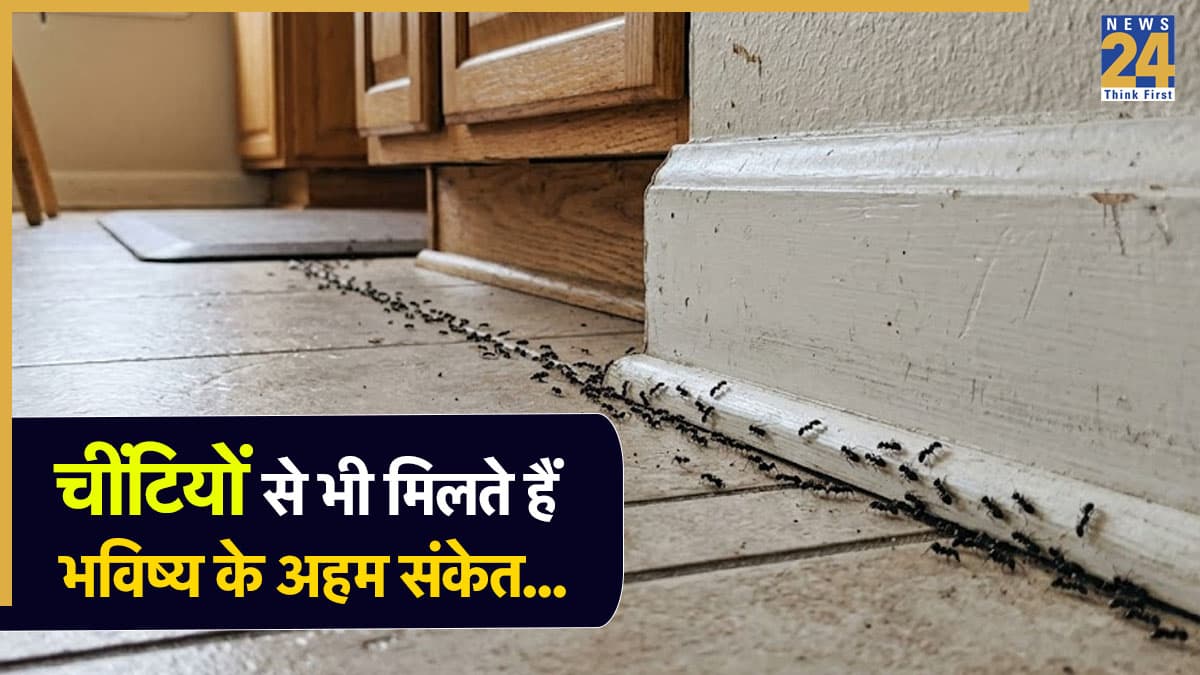 Ants in House Meaning: घर में चींटियों का लाइन में चलते हुए दिखाई देना कैसा होता है? शकुन शास्त्र से जानें शुभ-अशुभ फल