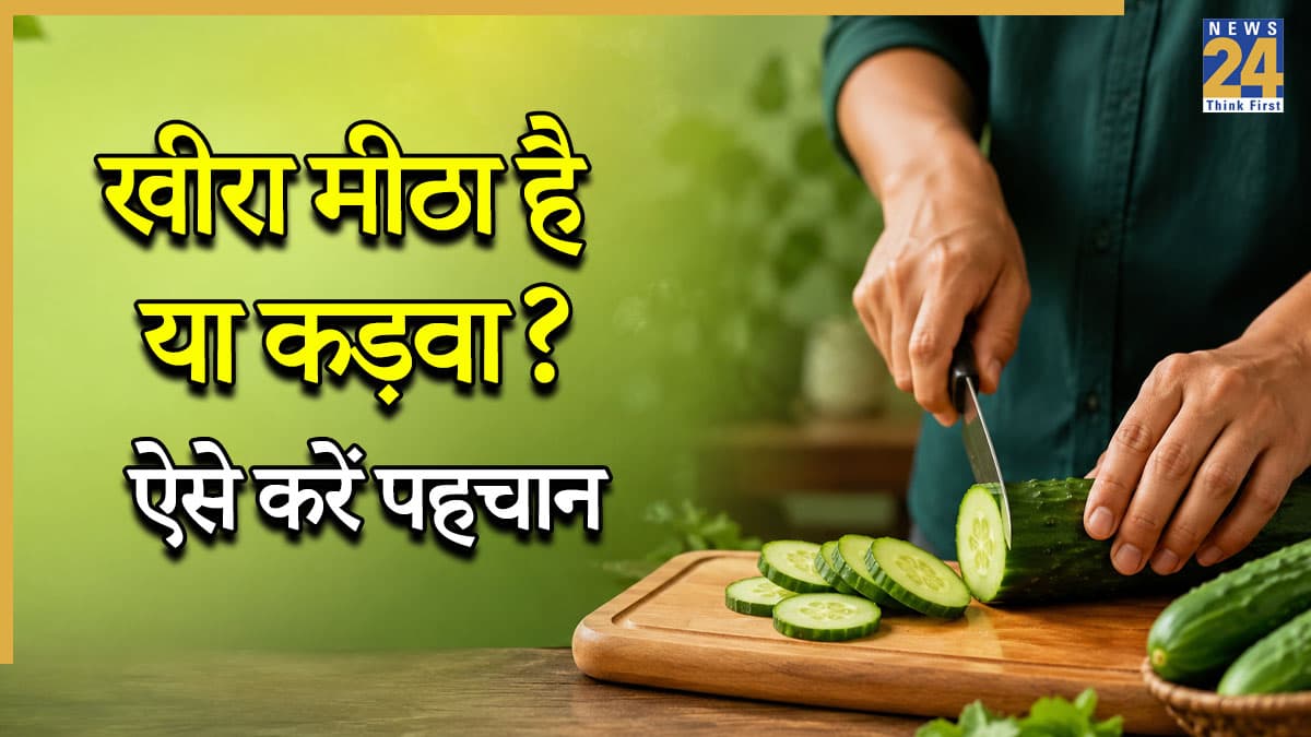 खीरा मीठा है या कड़वा? 90% लोग नहीं जानते ये सीक्रेट ट्रिक, खरीदने से पहले ऐसे करें पहचान