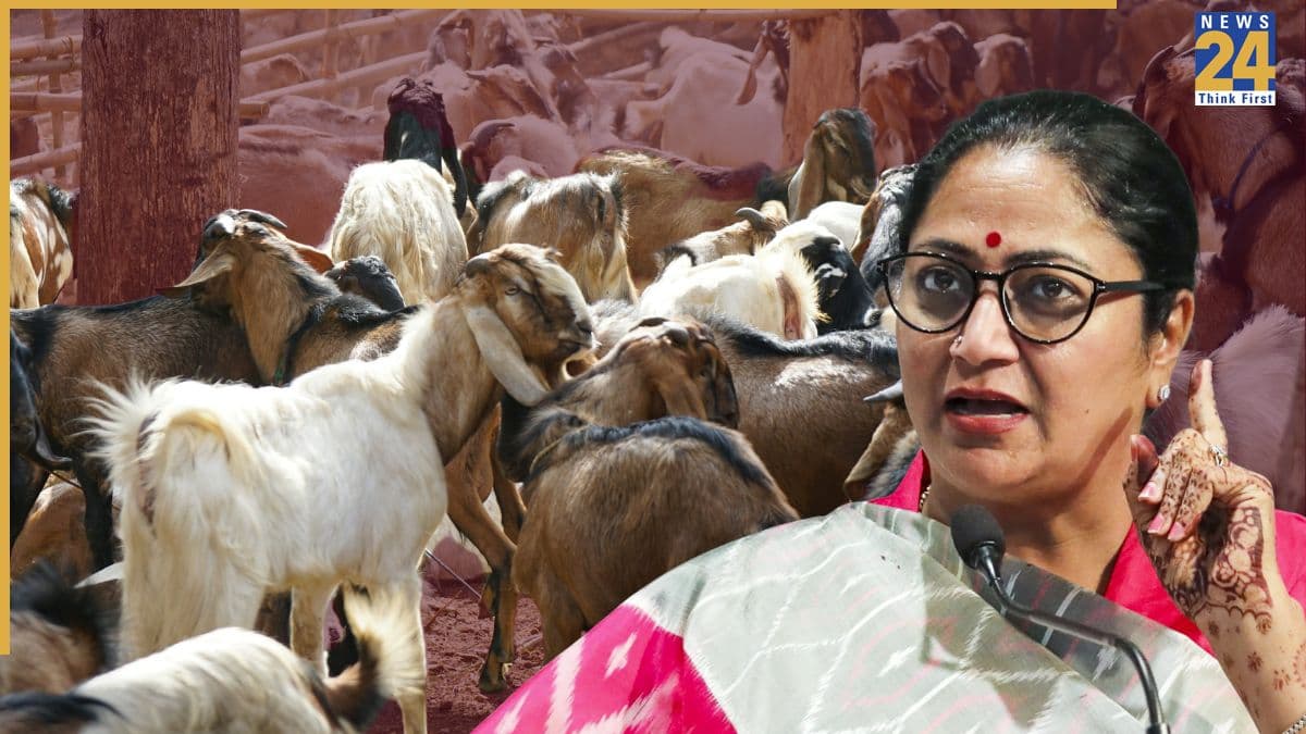बकरीद पर दिल्ली सरकार का बड़ा ऐलान, सड़कों और सार्वजनिक जगहों पर कुर्बानी पर रोक, एडवाइजरी में जारी किए ये प्वॉइंट्स