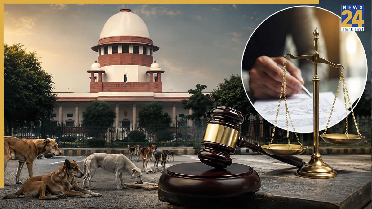 आवारा कुत्तों पर SC का बड़ा फैसला, 2025 का आदेश रखा बरकरार, दिए 9 कड़े निर्देश, खारिज की सभी याचिकाएं