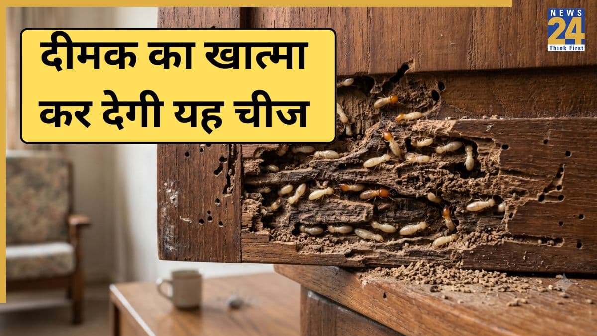लकड़ी का फर्नीचर खोखला कर रही है दीमक तो तुरंत करें ये घरेलू उपाय, केमिकल की नहीं पड़ेगी जरूरत