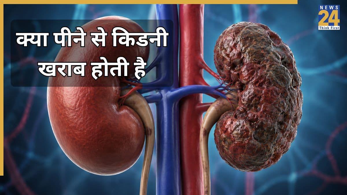 किडनी को डैमेज करती हैं ये 3 ड्रिंक्स, ज्यादा पिएंगे तो खराब हो जाएंगे गुर्दे