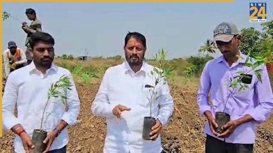 एक पीपल के पेड़ से शुरू हुई क्रांति, अब हजारों लोगों की बन गई ‘ट्री आर्मी’, महाराष्ट्र के विधायक की यह पहल बनी मिसाल