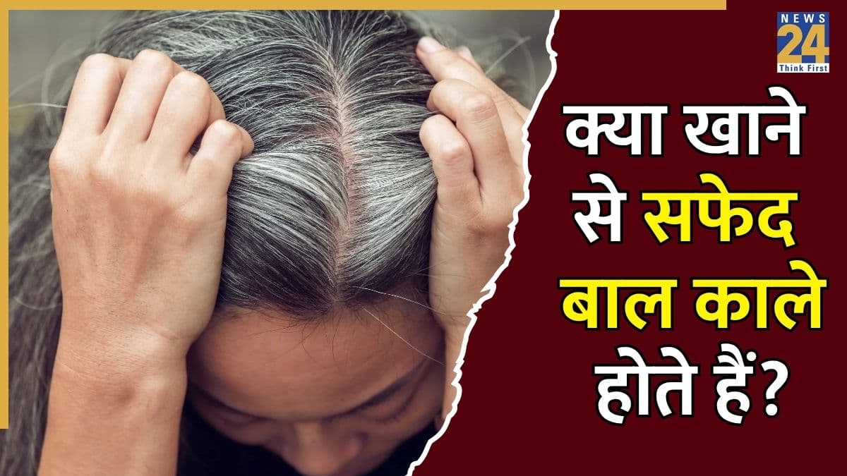 जवानी में ही सफेद होने लगे हैं बाल तो खाना शुरू कर दीजिए ये 7 चीजें, एकबार फिर ब्लैक होने लगेंगी लटें