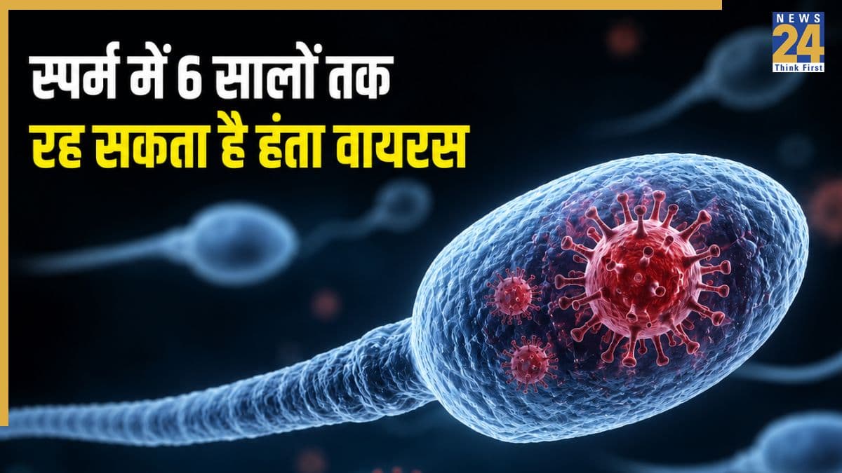Hantavirus transmission through sex