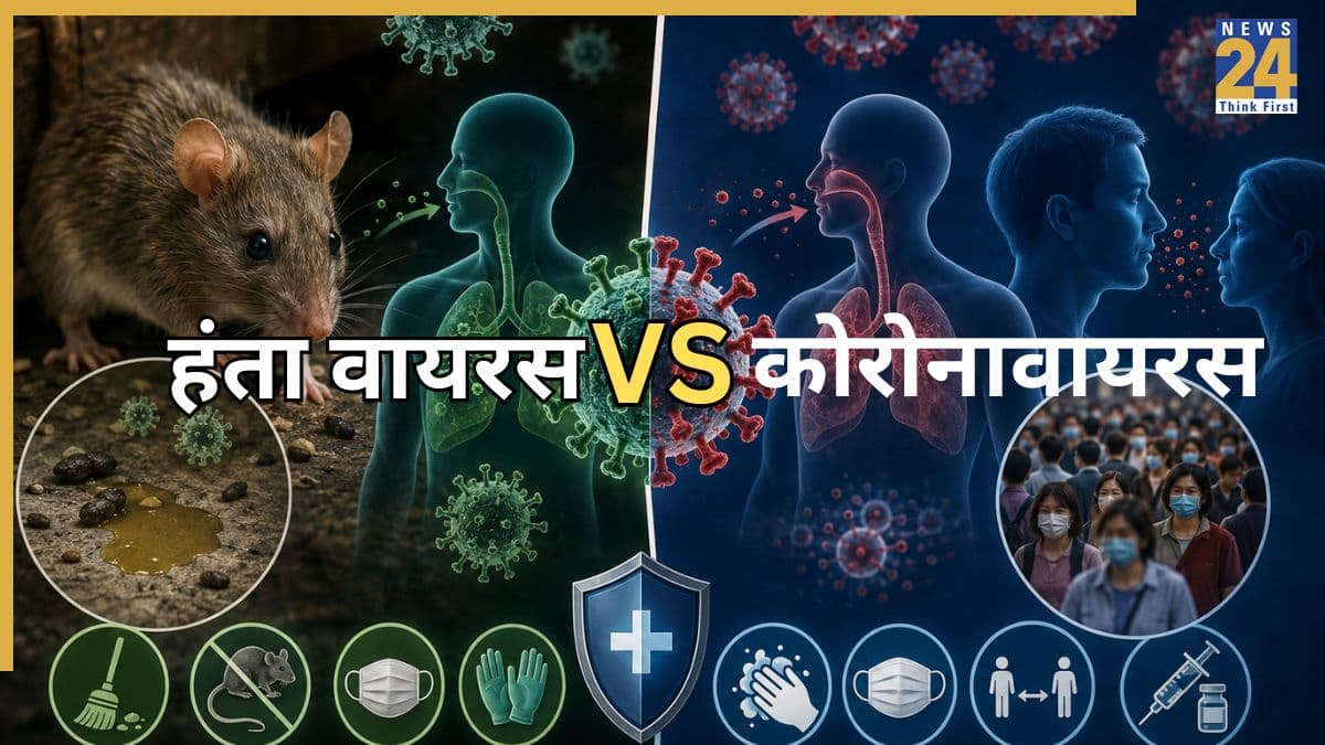 Hantavirus vs coronavirus difference Hantavirus vs coronavirus difference