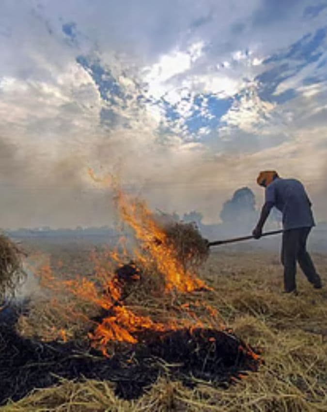 पराली जलाने पर होगी सख्त निगरानी
